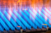 Cambusdrenny gas fired boilers